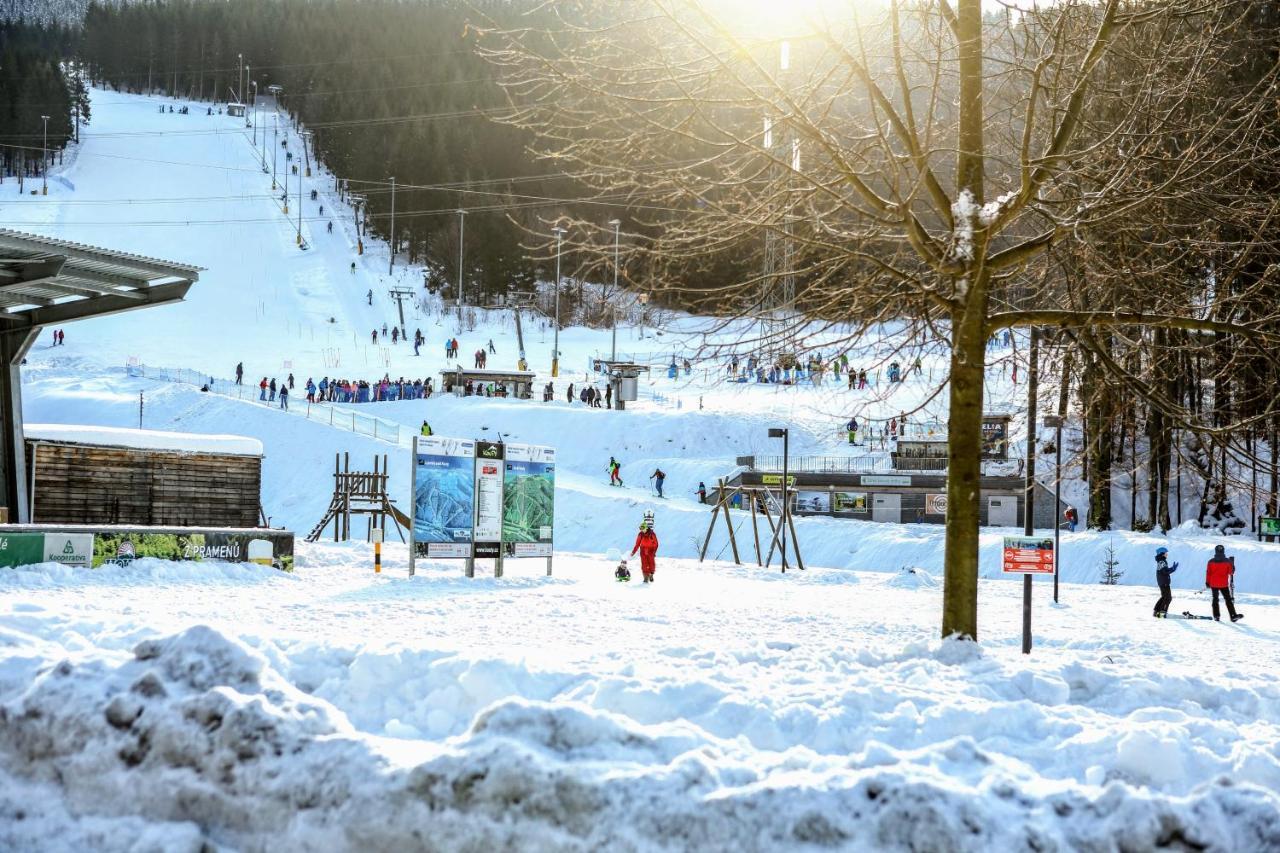 Chata U Vleku Kouty Nad Desnou Loucna nad Desnou Exterior photo