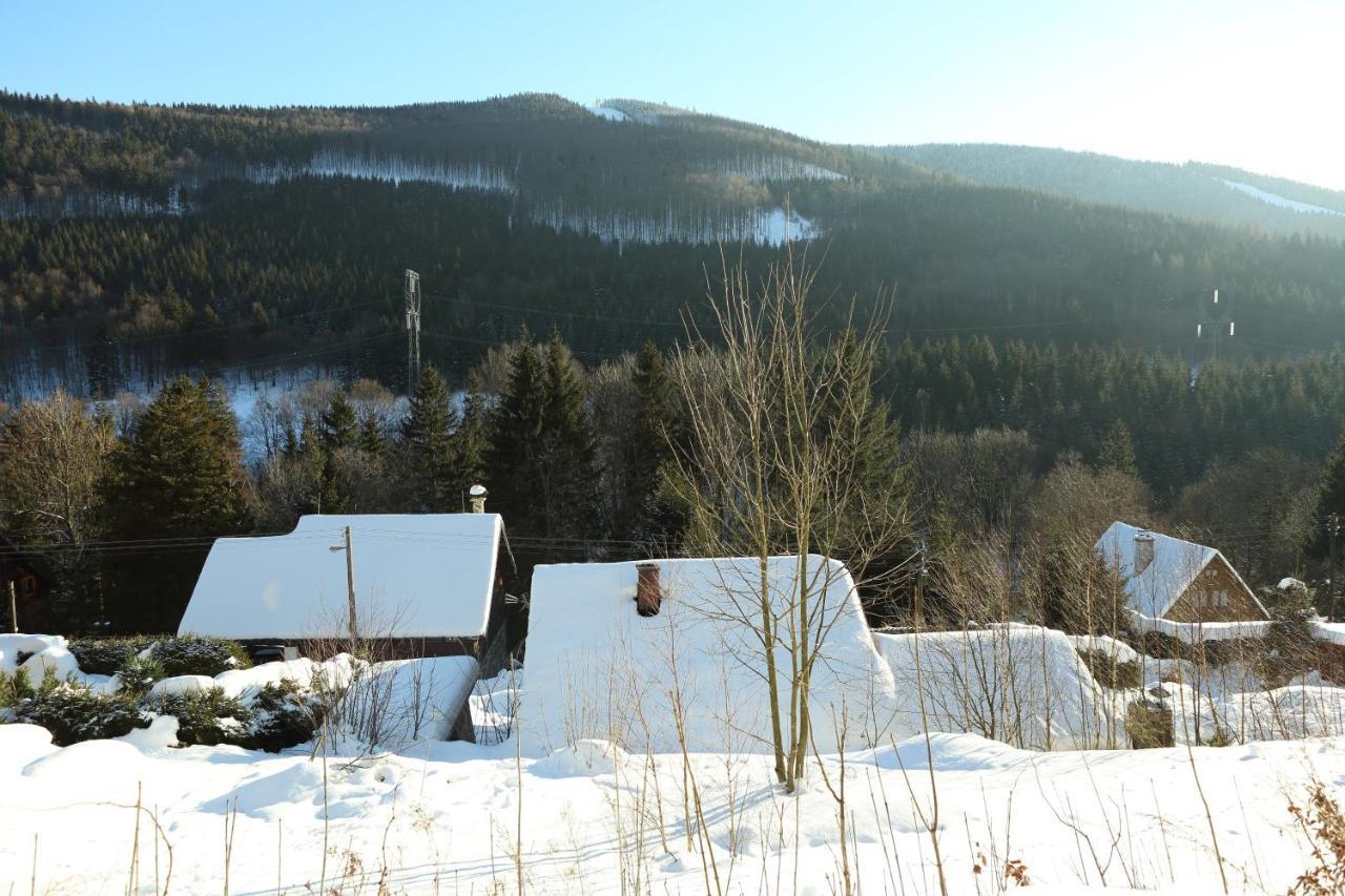 Chata U Vleku Kouty Nad Desnou Loucna nad Desnou Exterior photo